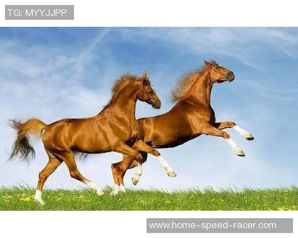 坦珀利与铁路工场的较量揭示了足球战术与团队协作的深刻内涵